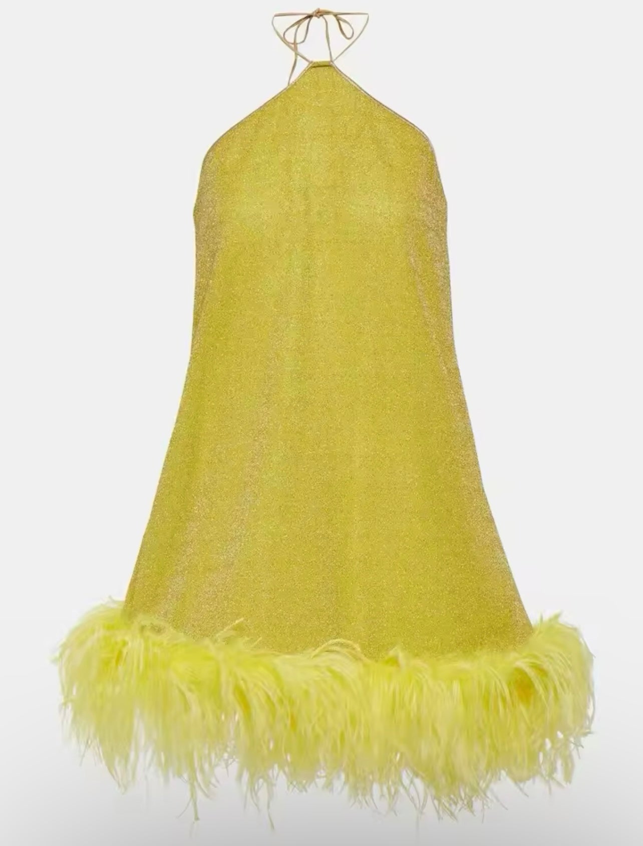 Robe Trapèze Pailletée avec Plumes