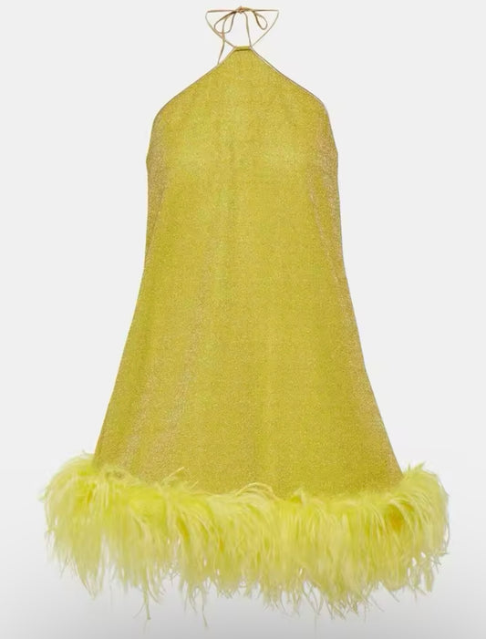 Robe Trapèze Pailletée avec Plumes